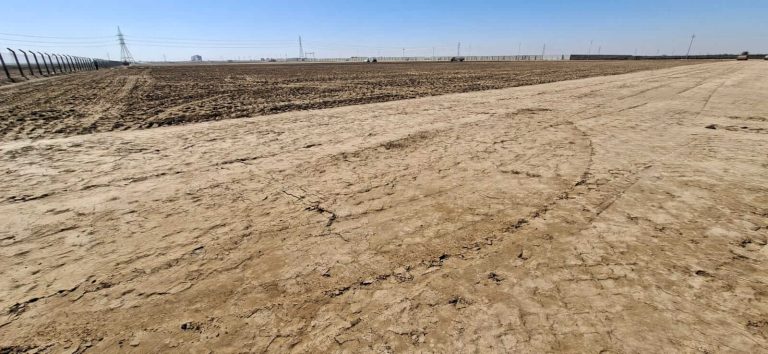 WhatsApp Image 2025-11-16 at 14.56.16_626be43c