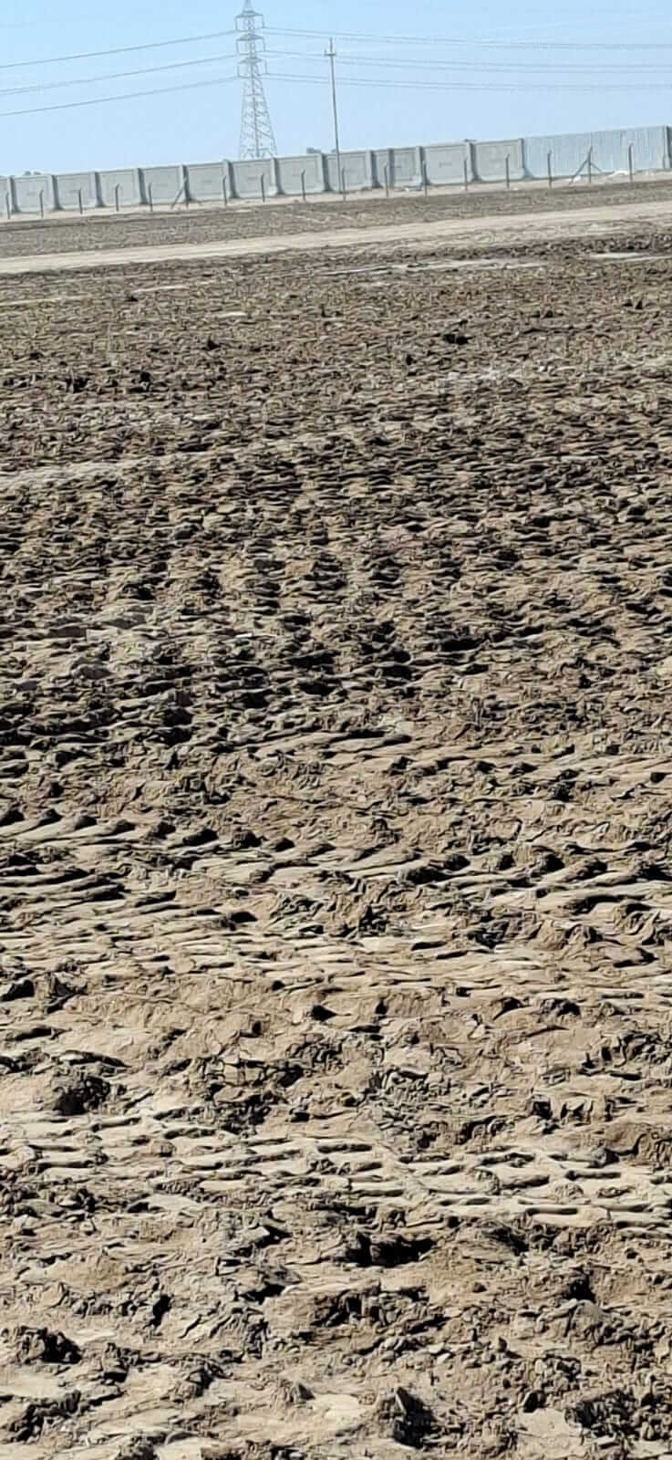 WhatsApp Image 2025-11-16 at 14.56.24_4f744520