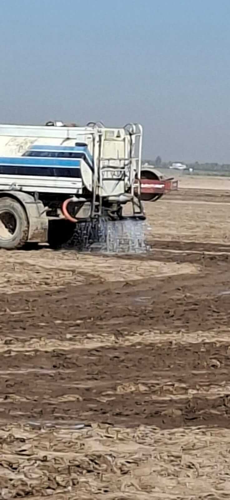 WhatsApp Image 2025-11-16 at 14.56.47_cd008449